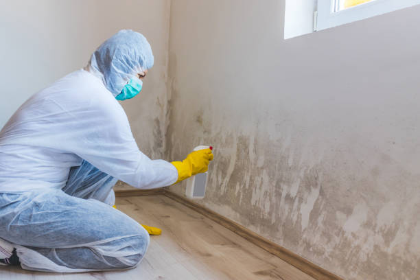 Licensed Bathroom Mold Removal service in Clinton, IL - WQB Mold Removal