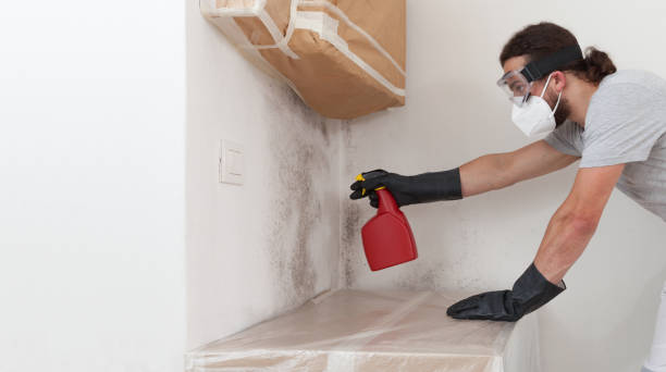 Professional Bathroom Mold Removal technician working in Clinton, IL