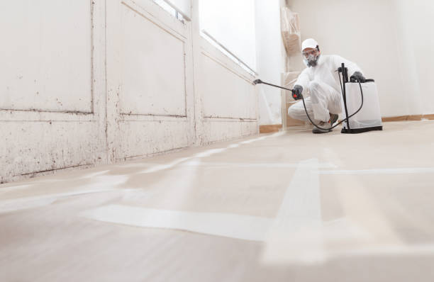 24/7 Emergency Bathroom Mold Removal experts in Clinton, IL
