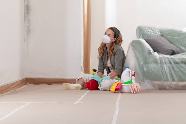Reliable Bathroom Mold Removal contractor in Clinton, IL by WQB Mold Removal